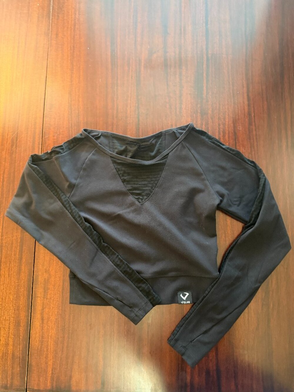 Violate Black Mesh Panel Long Sleeve Cropped Athletic Top M